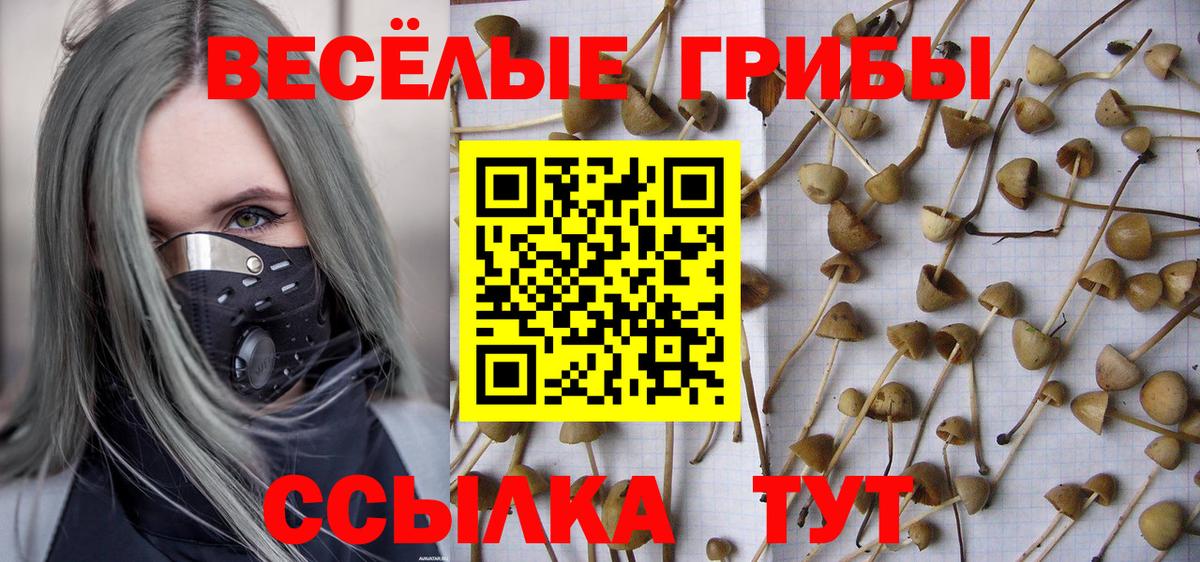 Псилоцибиновые грибы Psilocybe  Вход с VPN  Галлюциногенные грибы Psilocybine cubensis  Ростов-на-Дону 